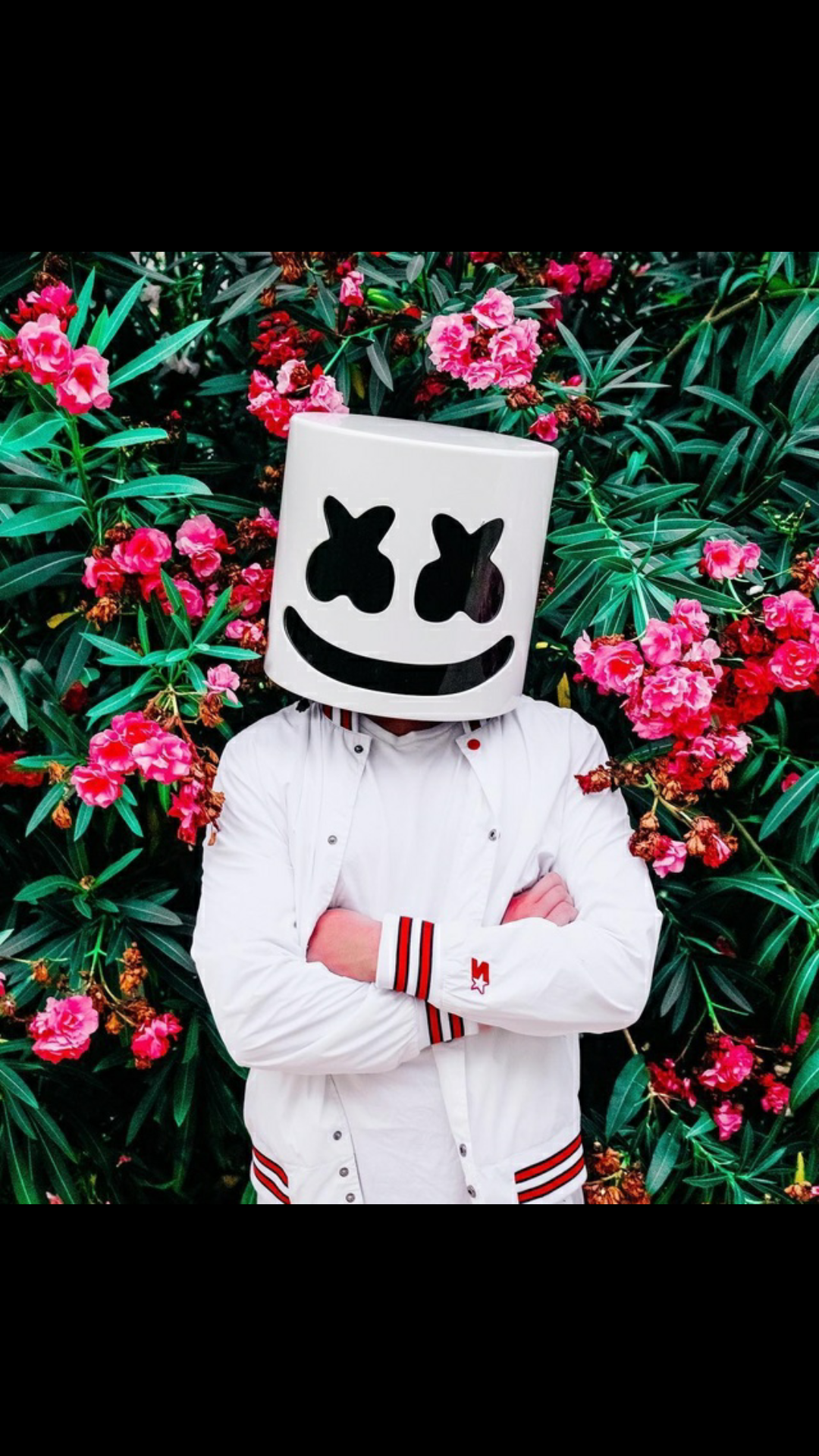 marshmello