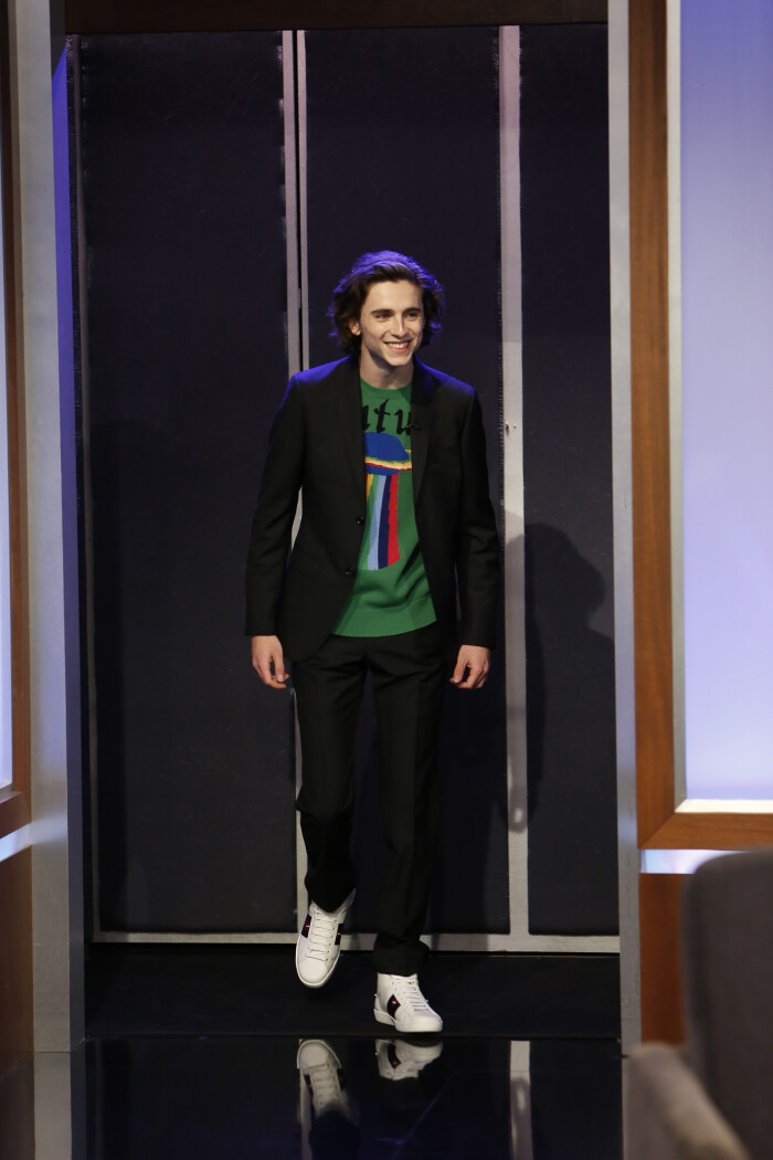 蒂莫西·柴勒梅德timothéechalamet(请以你的名字呼唤我)