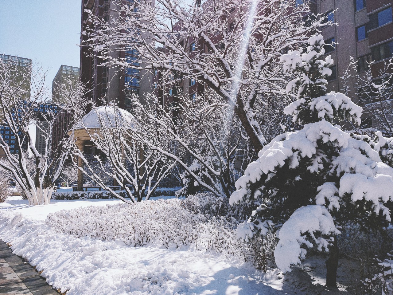 坐标沈阳 3月15日 大雪 美图t8拍摄