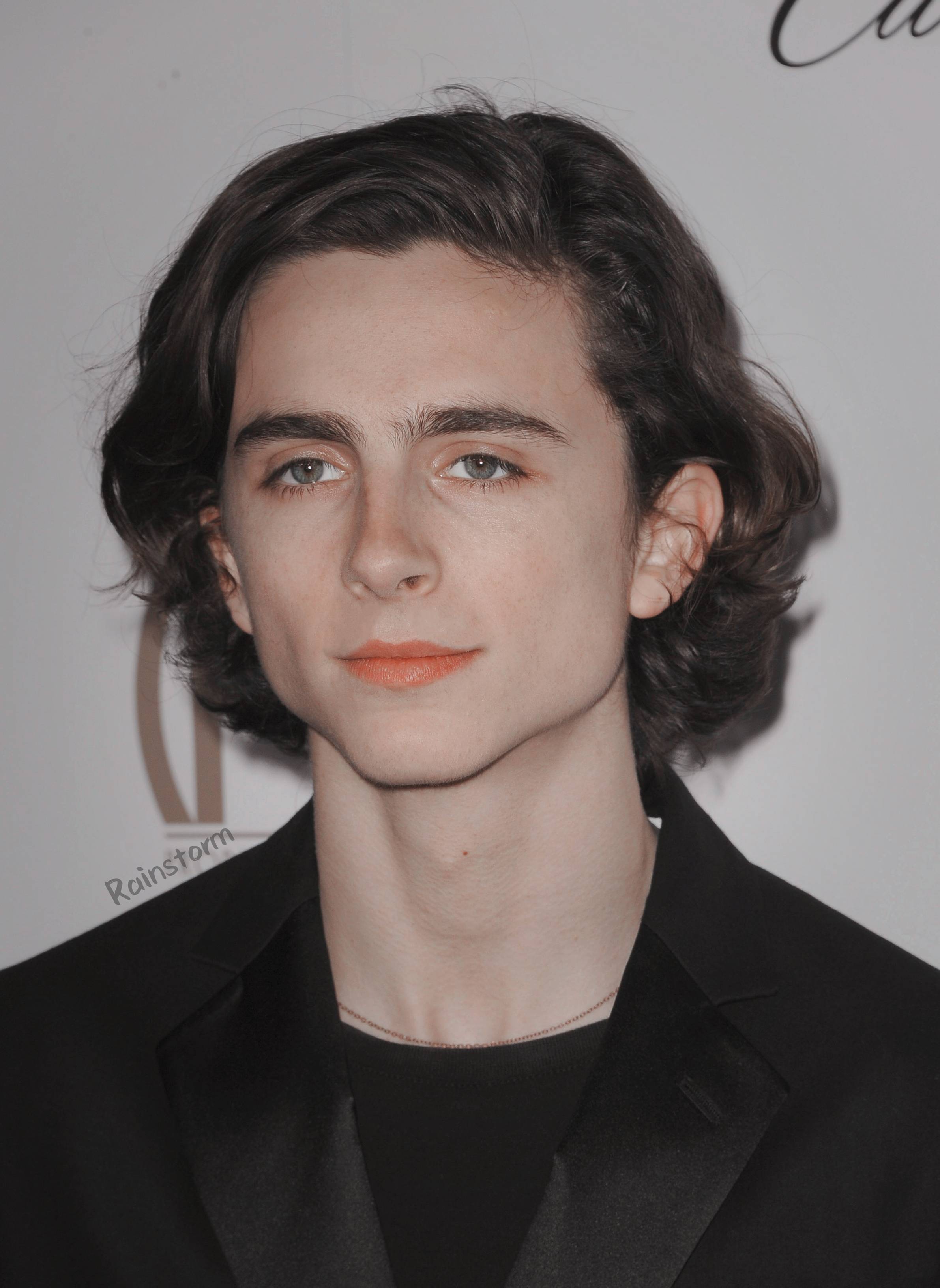 蒂莫西·柴勒梅德timothéechalamet(请以你的名字呼唤我)