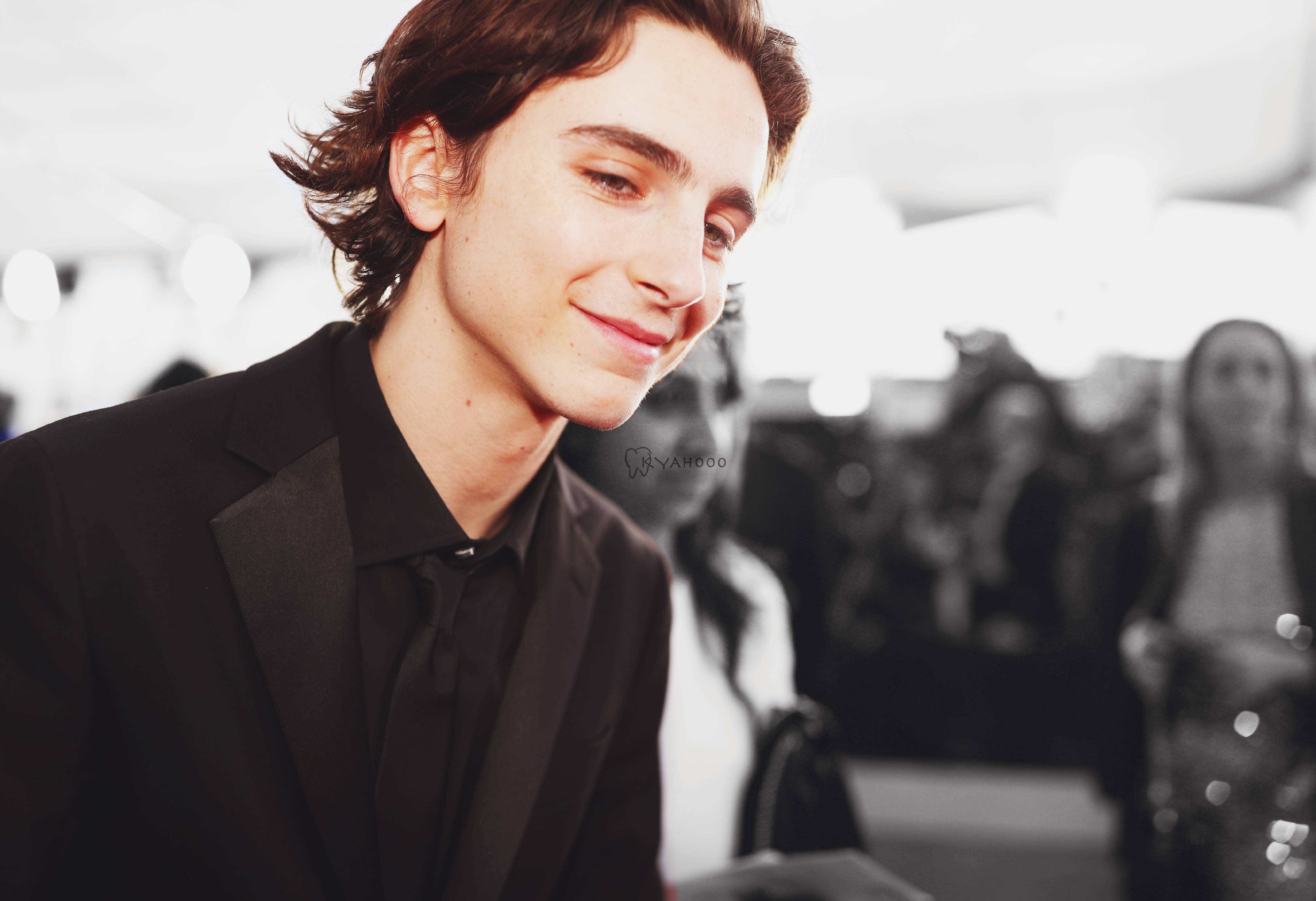 蒂莫西·柴勒梅德timothéechalamet(请以你的名字呼唤我)