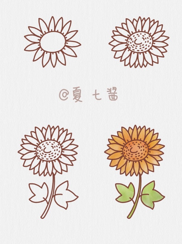 11种向日葵的画法幼儿图片