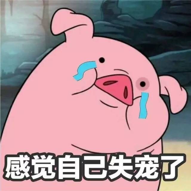 可爱小猪,摇摇猪