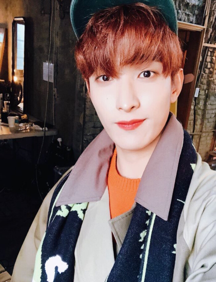 (mingyu)徐明浩(the8)夫胜宽(seungkwan)崔韩率(vernon)李灿(dino)