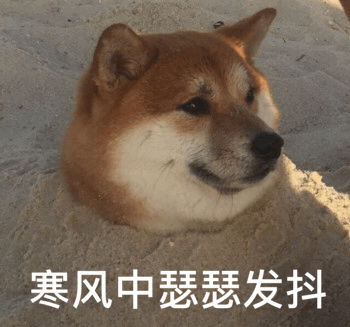 柴犬表情包