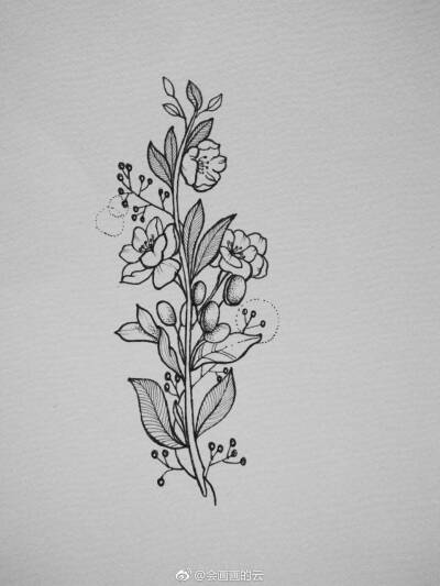线描画