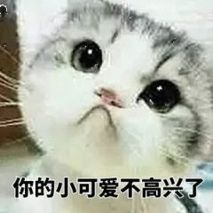 表情包精选 原图