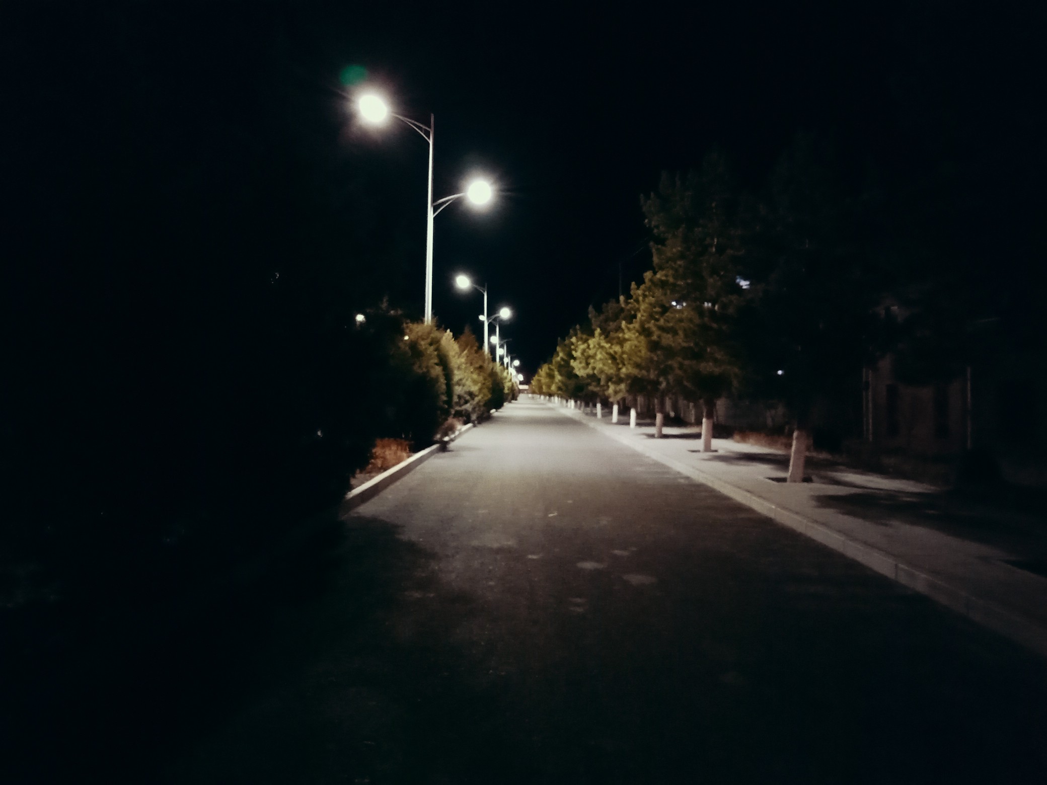 夜晚