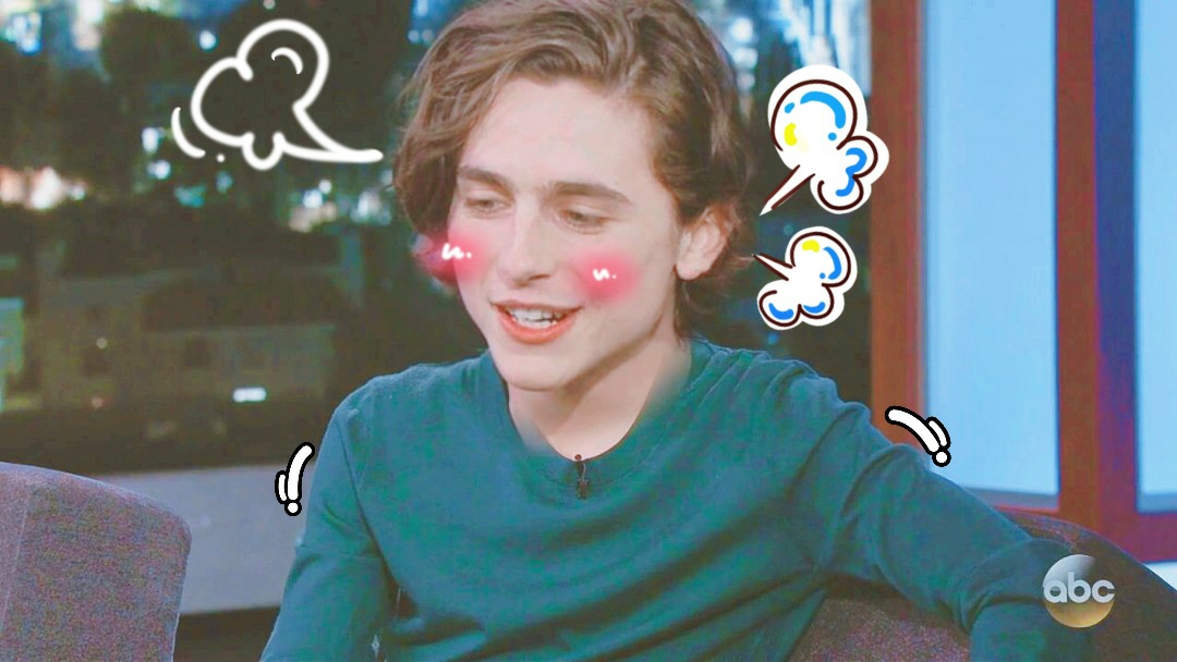 蒂莫西·柴勒梅德timothéechalamet(请以你的名字呼唤我)