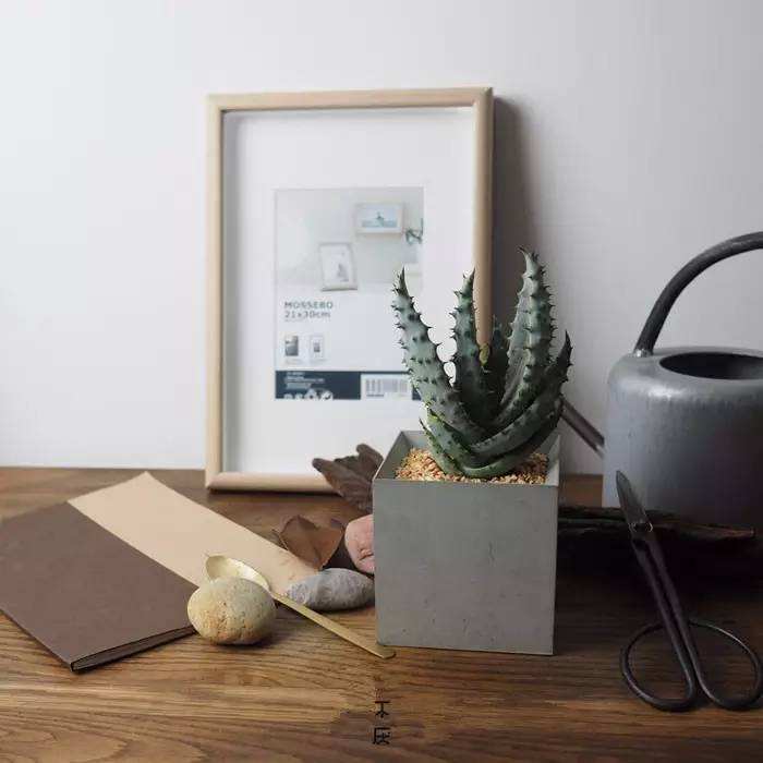 ins极简北欧冷淡风.