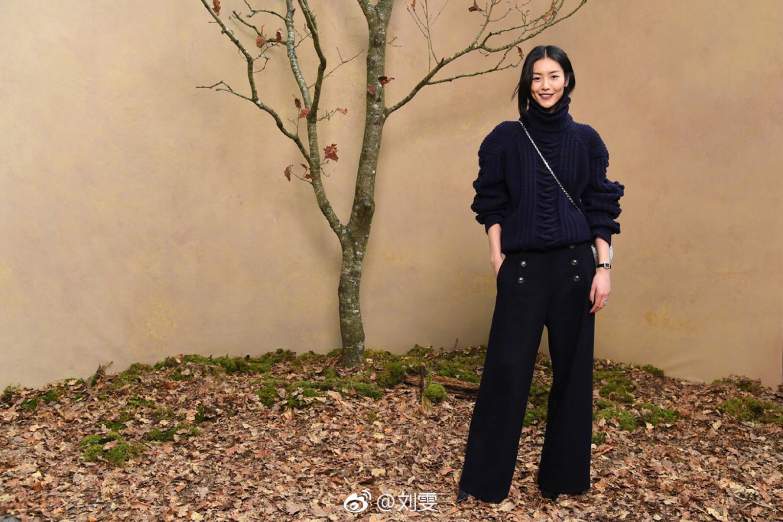 表姐 大表姐 刘雯 超模 街拍