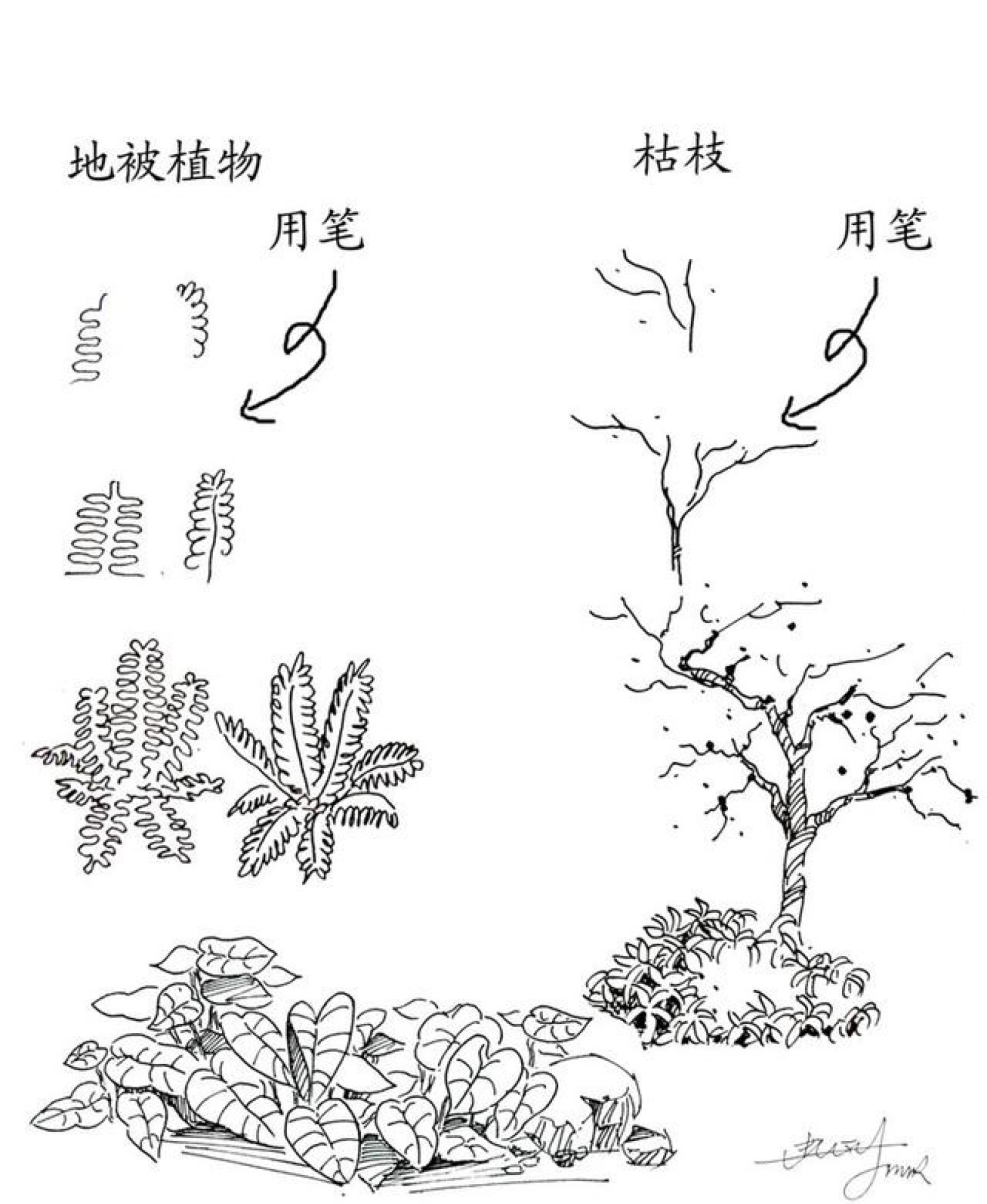 问题树画法图片