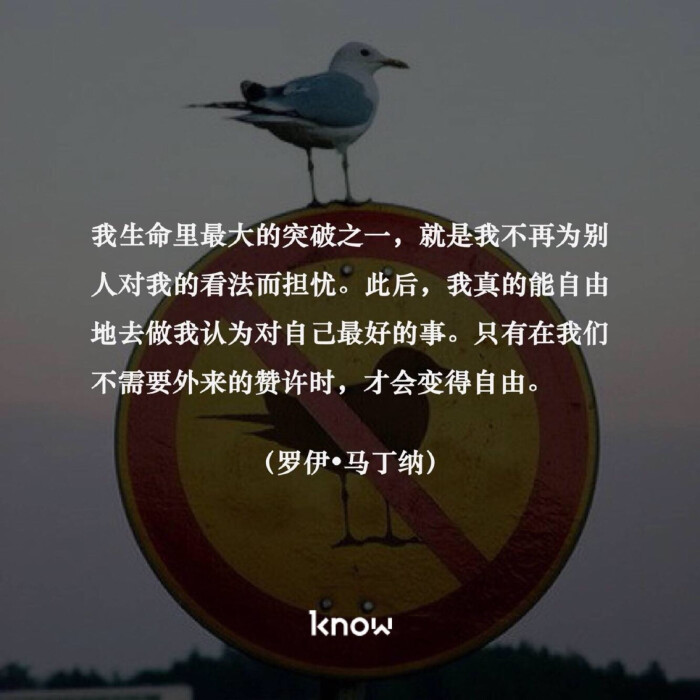 罗伊马丁纳(roy martina,荷兰医学博士,著名心理治疗师)