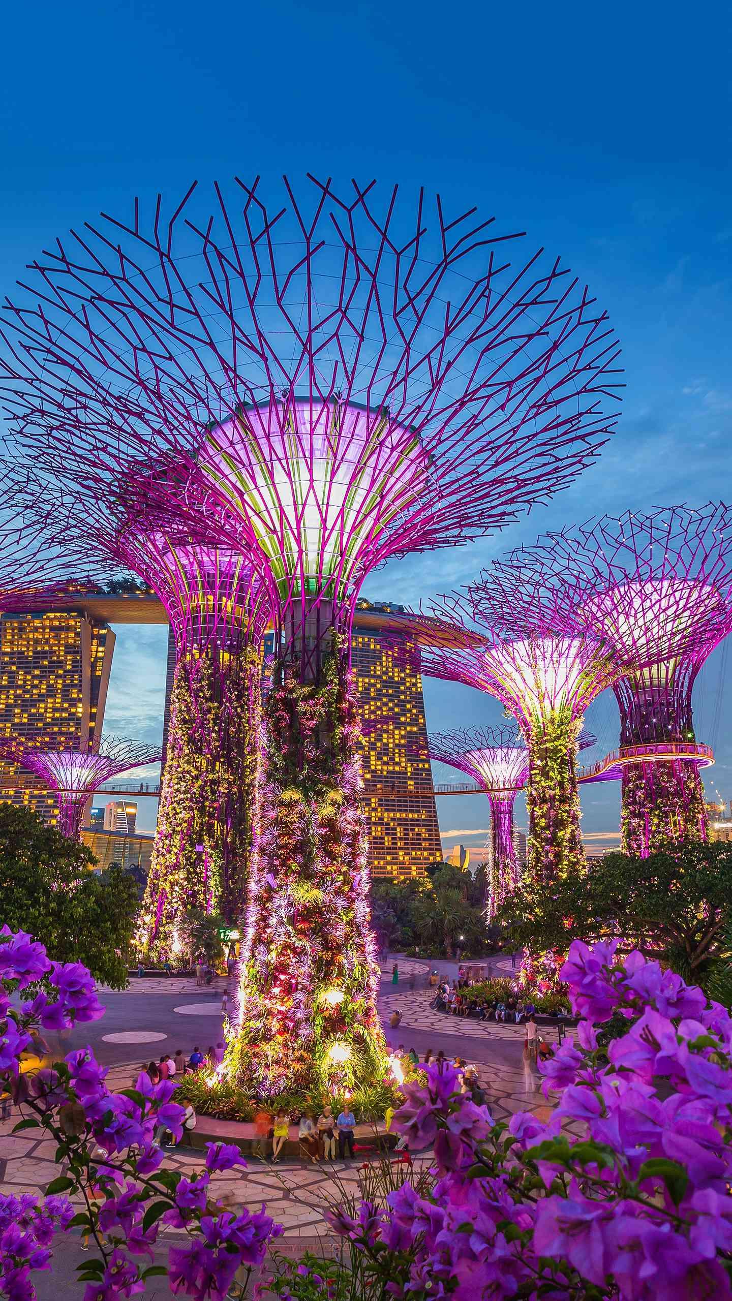 新加坡滨海湾花园介绍图片
