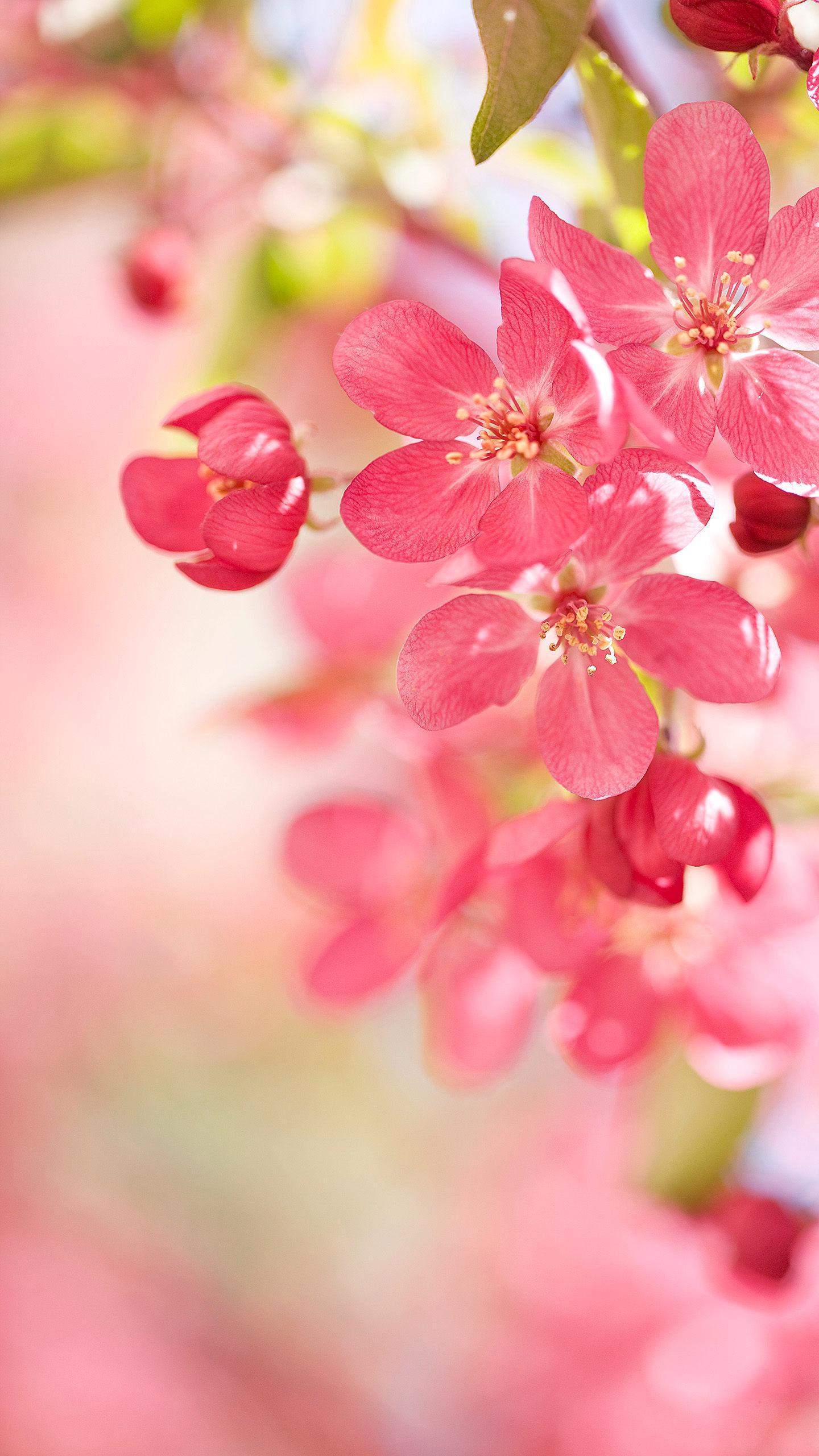 节气 春分