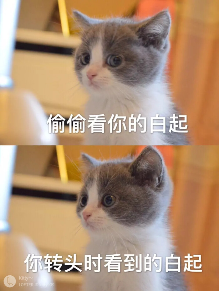 白起偷偷看你和被你发现的小眼神