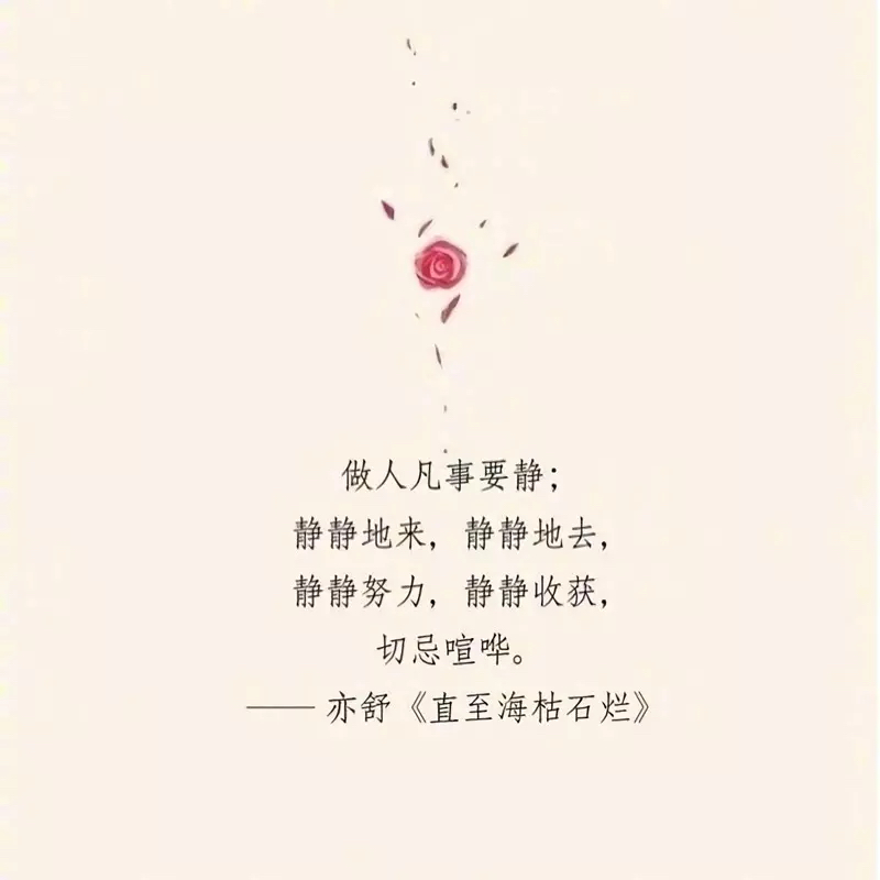 8句富有哲理的亦舒句子图片