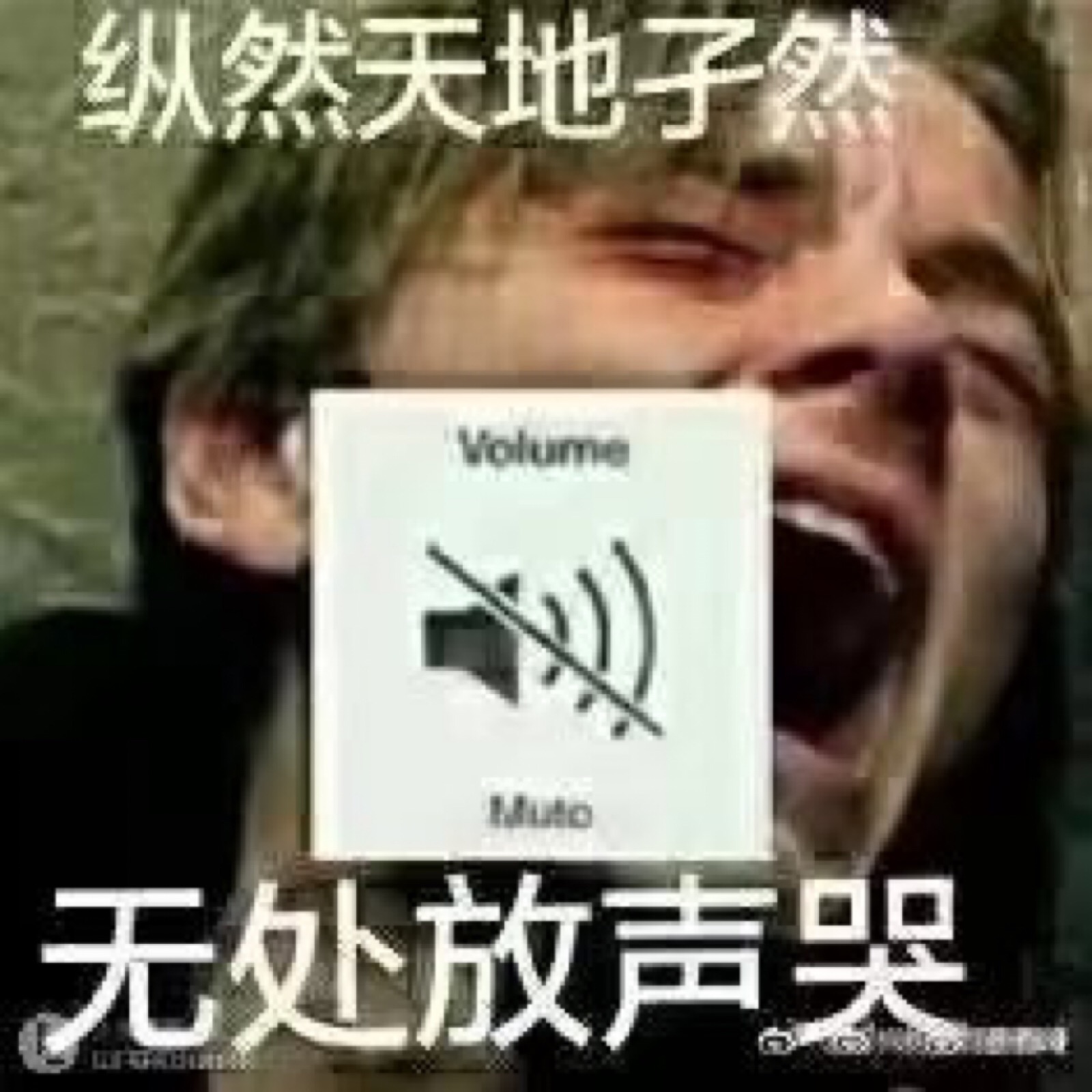 纵然天地孑然,无处放声哭