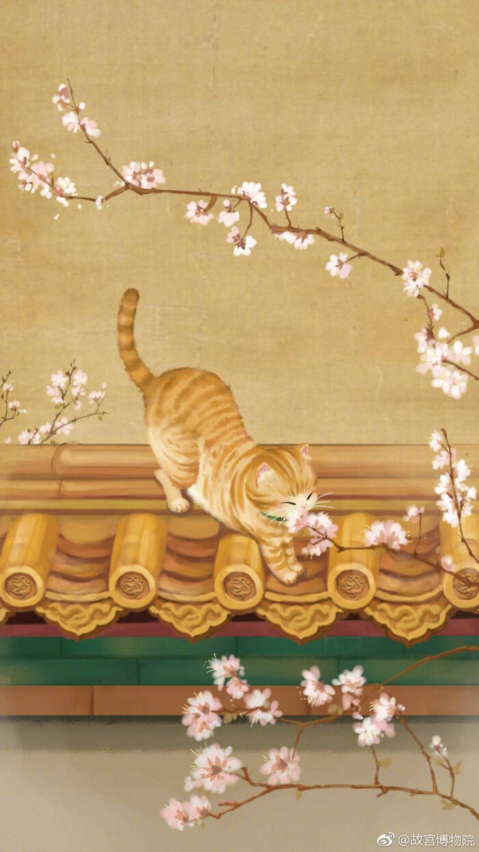 故宫##wallpaper# #壁纸# #锁屏# #背景# #手机壁纸
