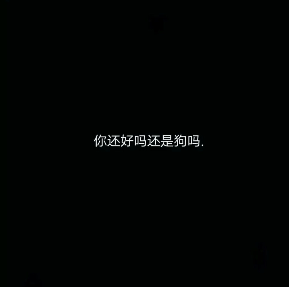 你还好吗还是狗吗