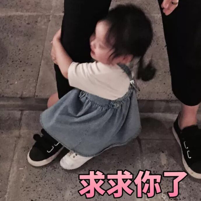 萌妹权律二表情包