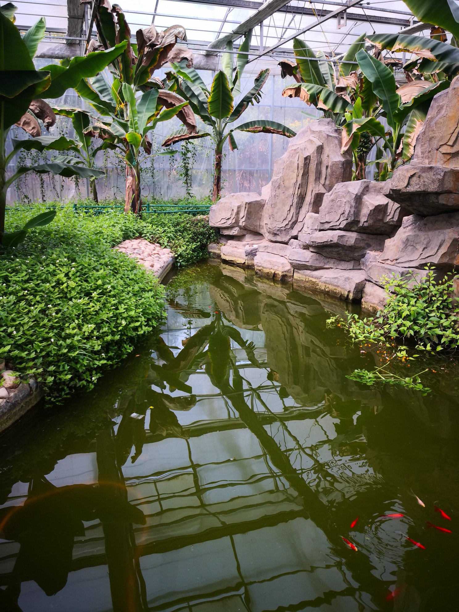 扬州西江生态园图片