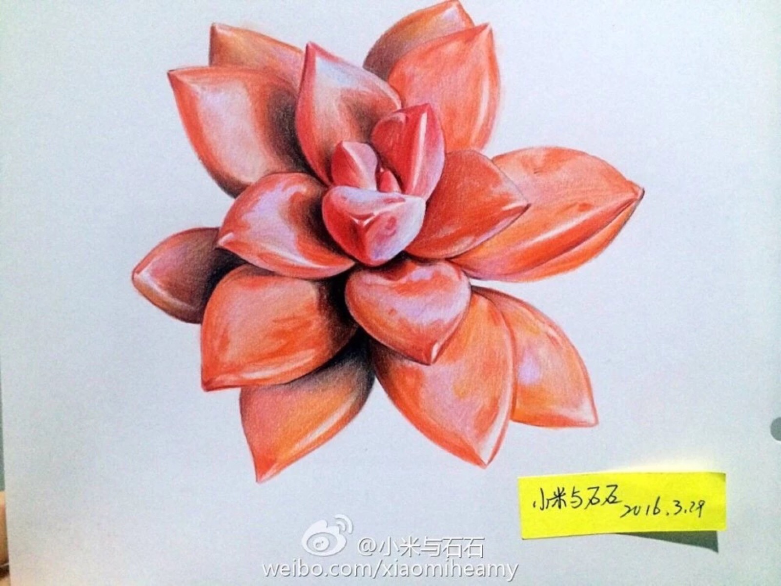 彩铅画 