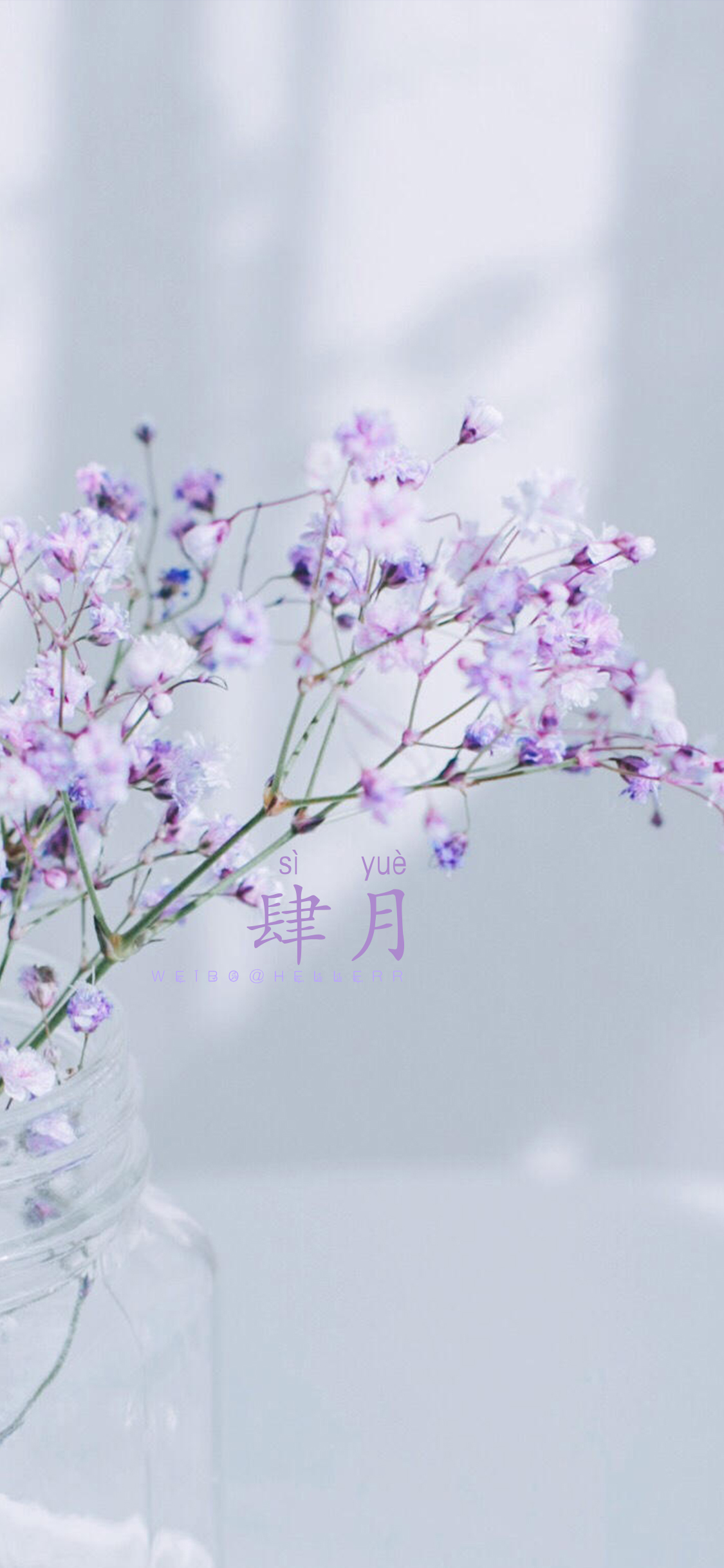 hellerr原创壁纸#没教程/素材,软件电脑版photoshop,[2018幸幸福福平
