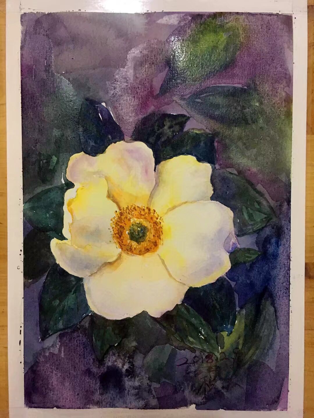 花,临摹水彩,税大