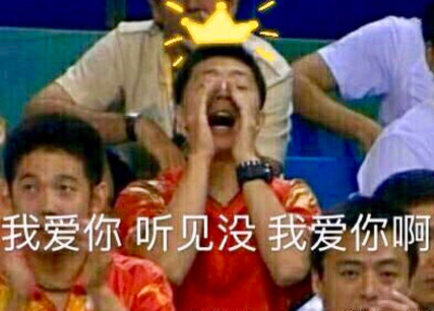 国胖队表情包