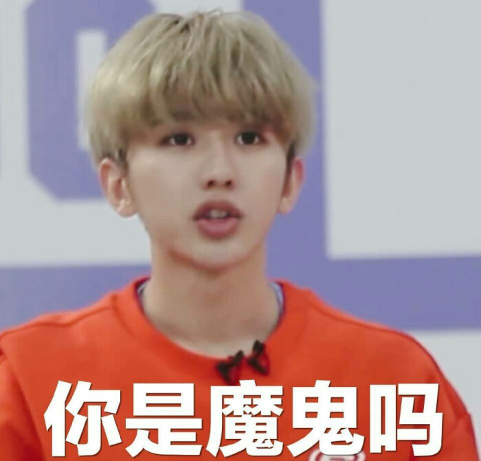 蔡徐坤(坤坤) 表情包你是魔鬼吗