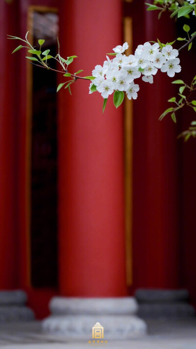 故宫壁纸