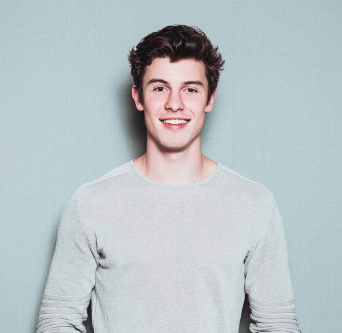 shawn mendes