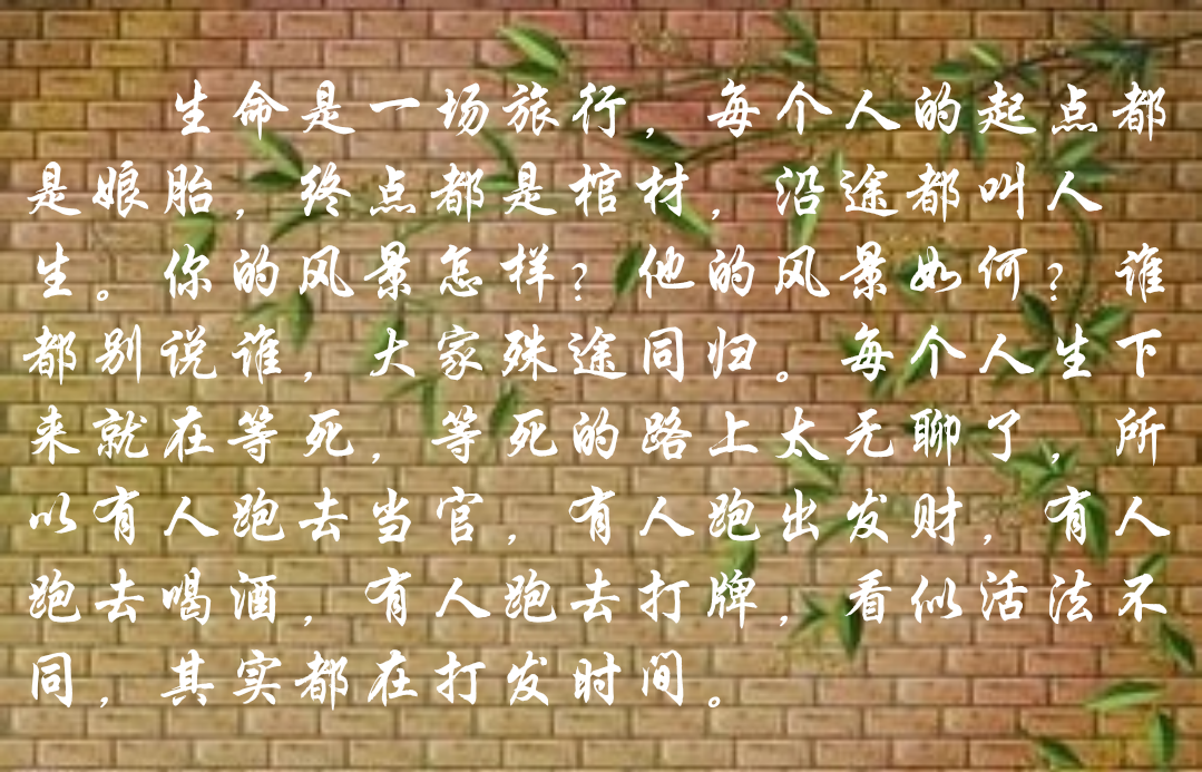 生命是一场旅行,每个人的起点都是娘胎,终点都是棺材,沿途都叫人生.