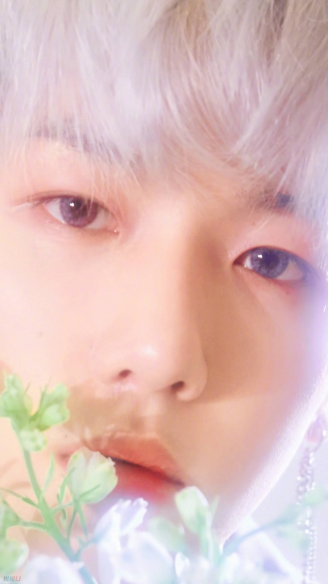 exo-cbx blooming days#baekhyun#边伯贤#bloomingdays#花曜日