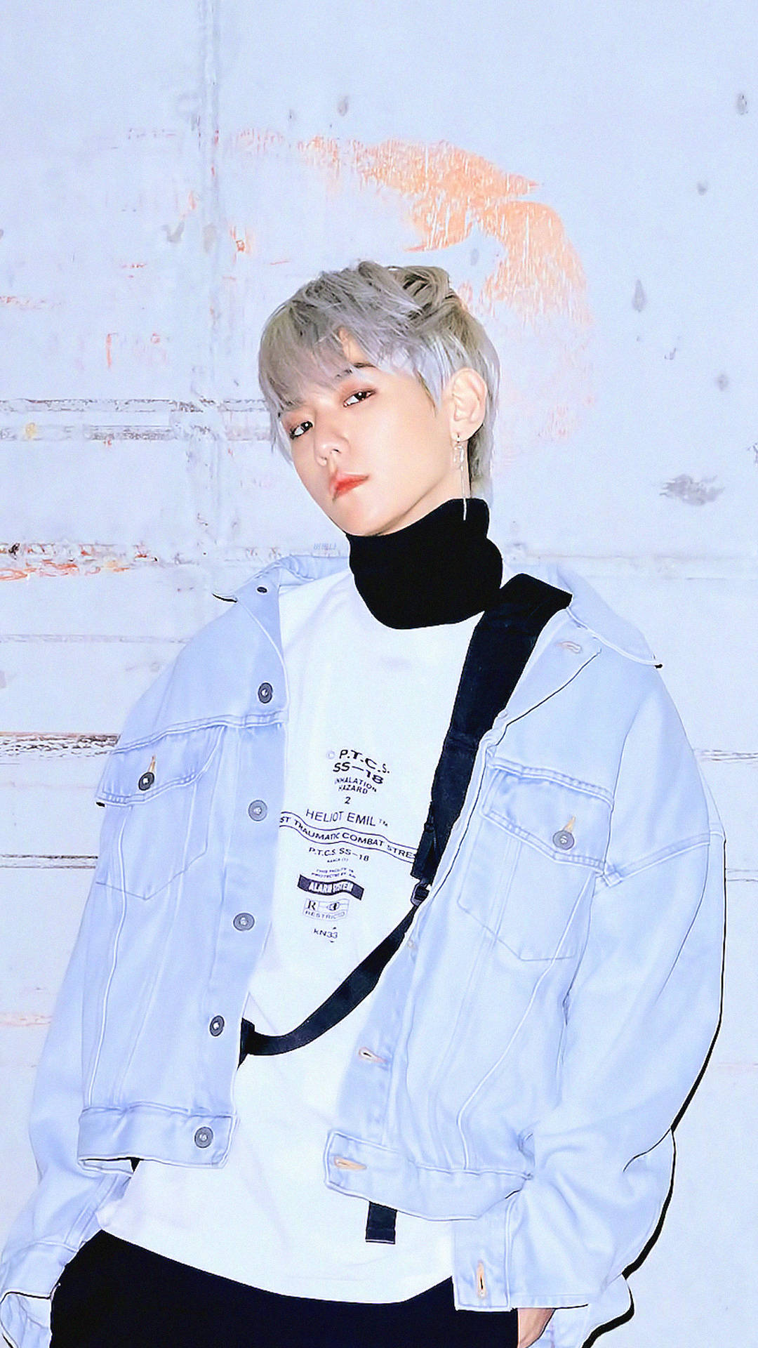 exo-cbx_baekhyun边伯贤_bloomingdays花曜日_壁纸