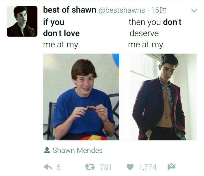 shawn mendes
