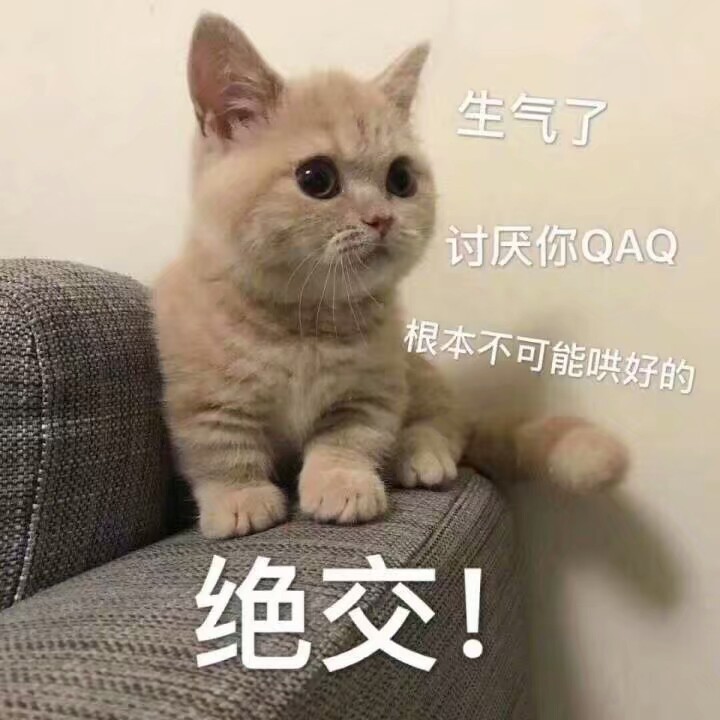 猫咪狗狗老鼠鸭子表情包可爱蠢萌套路小表情大表情打电话表情包小猪