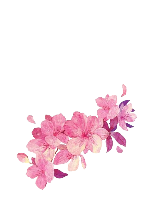 手绘 #花 #花朵 #花卉 #免抠图 #png #素材