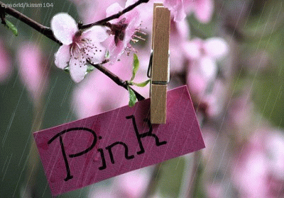 gif文艺安静场景