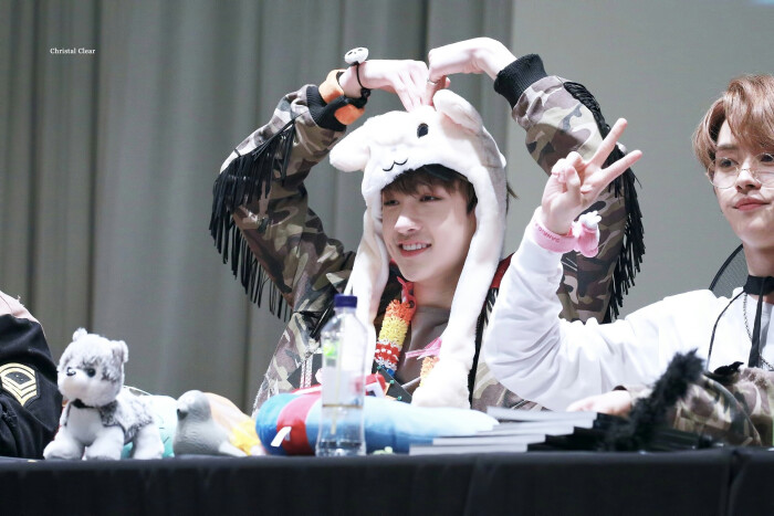 stray kids 方灿(bang chan)