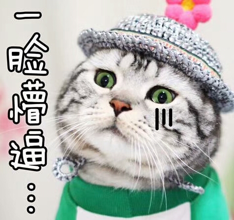 一脸懵逼