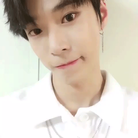 nct127#nct u#boss# 金道英(韩)「1996.02.01」