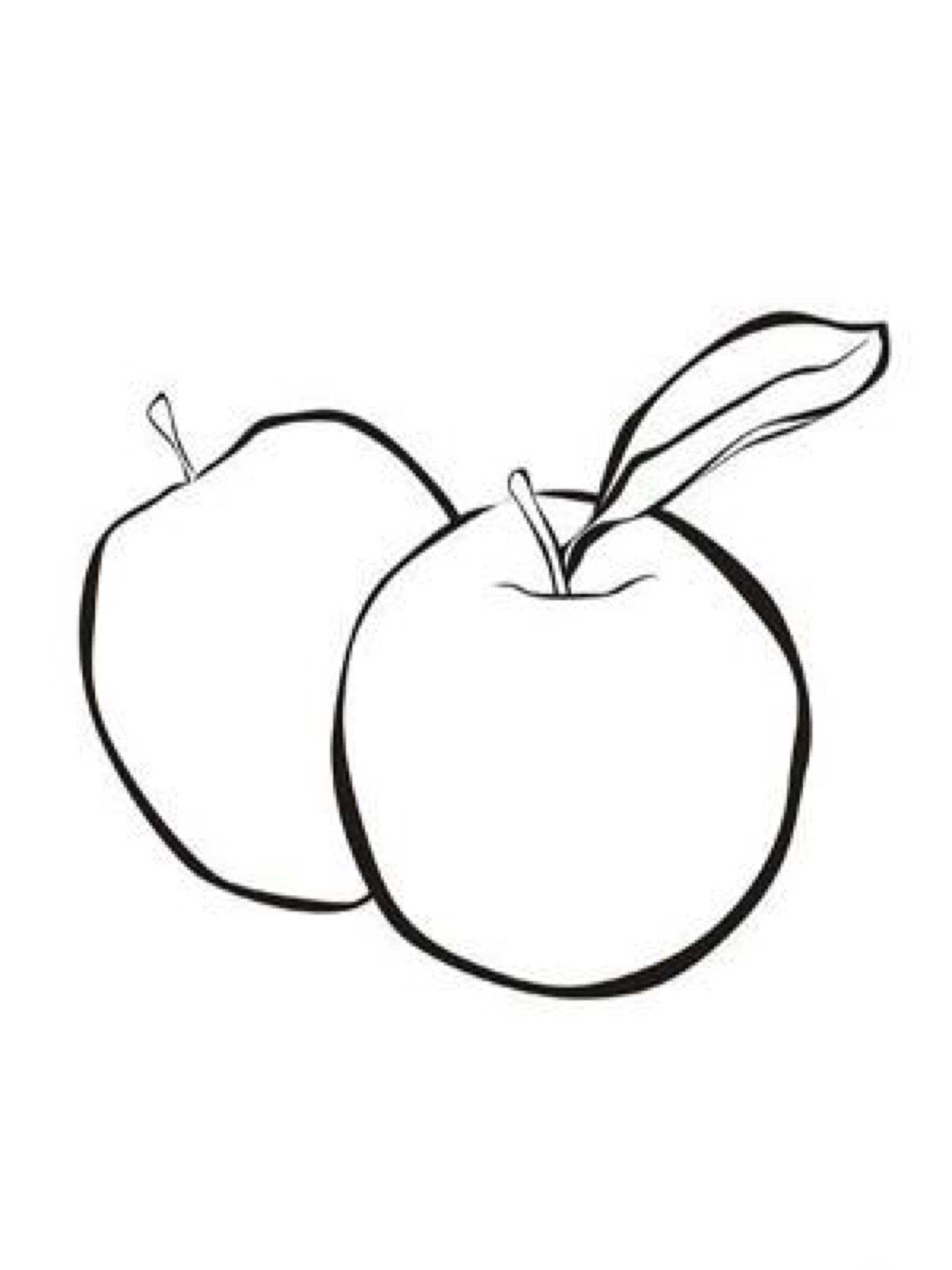 水果线描