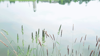 gif文艺安静场景