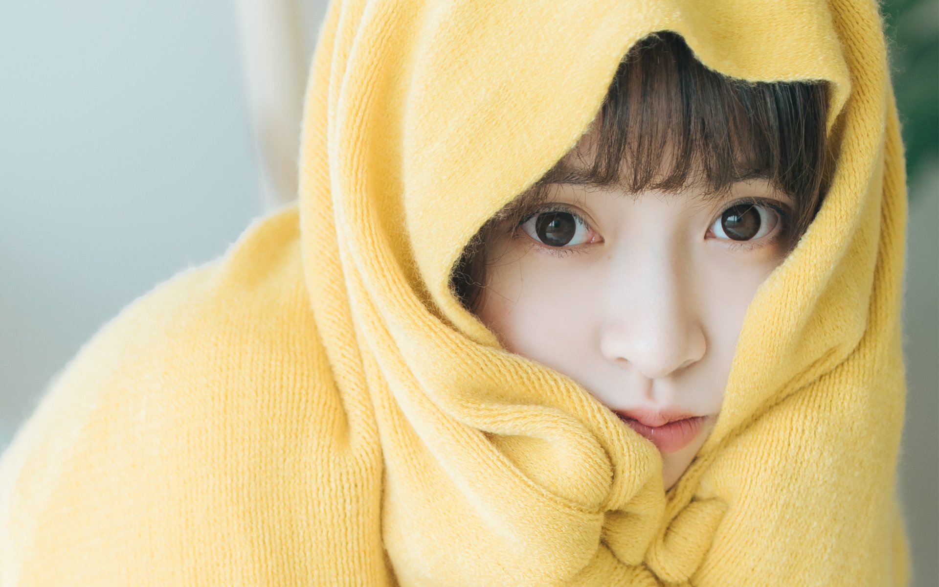 清纯美少女电脑壁纸