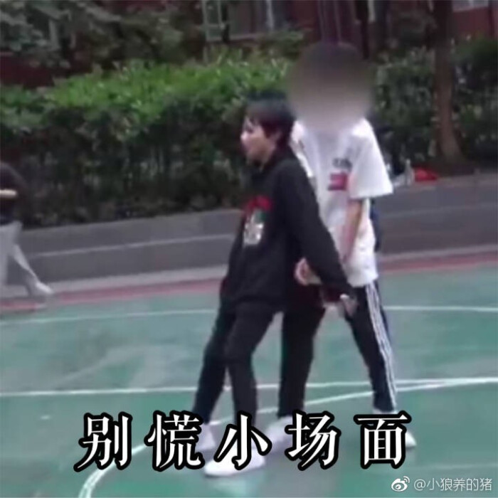 刘耀文表情包