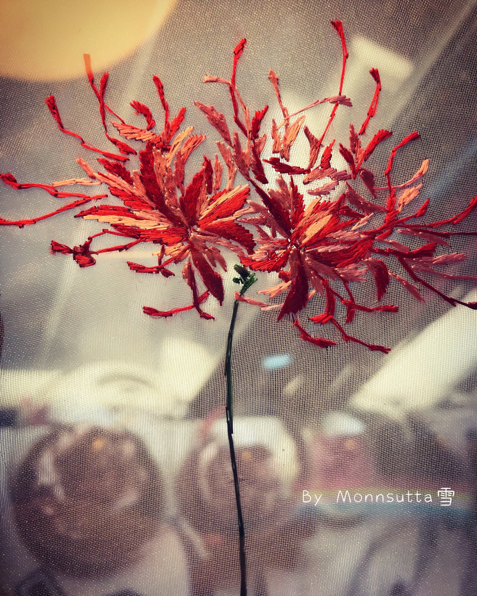 彼岸花 