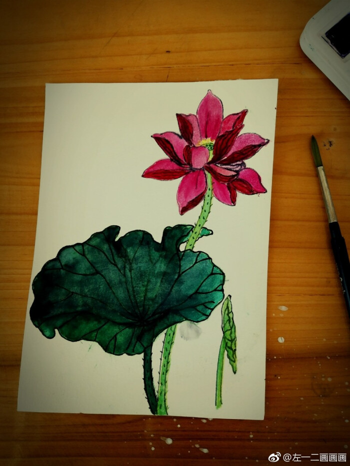 水彩荷花.临摹自魏建军先生的白描作品
