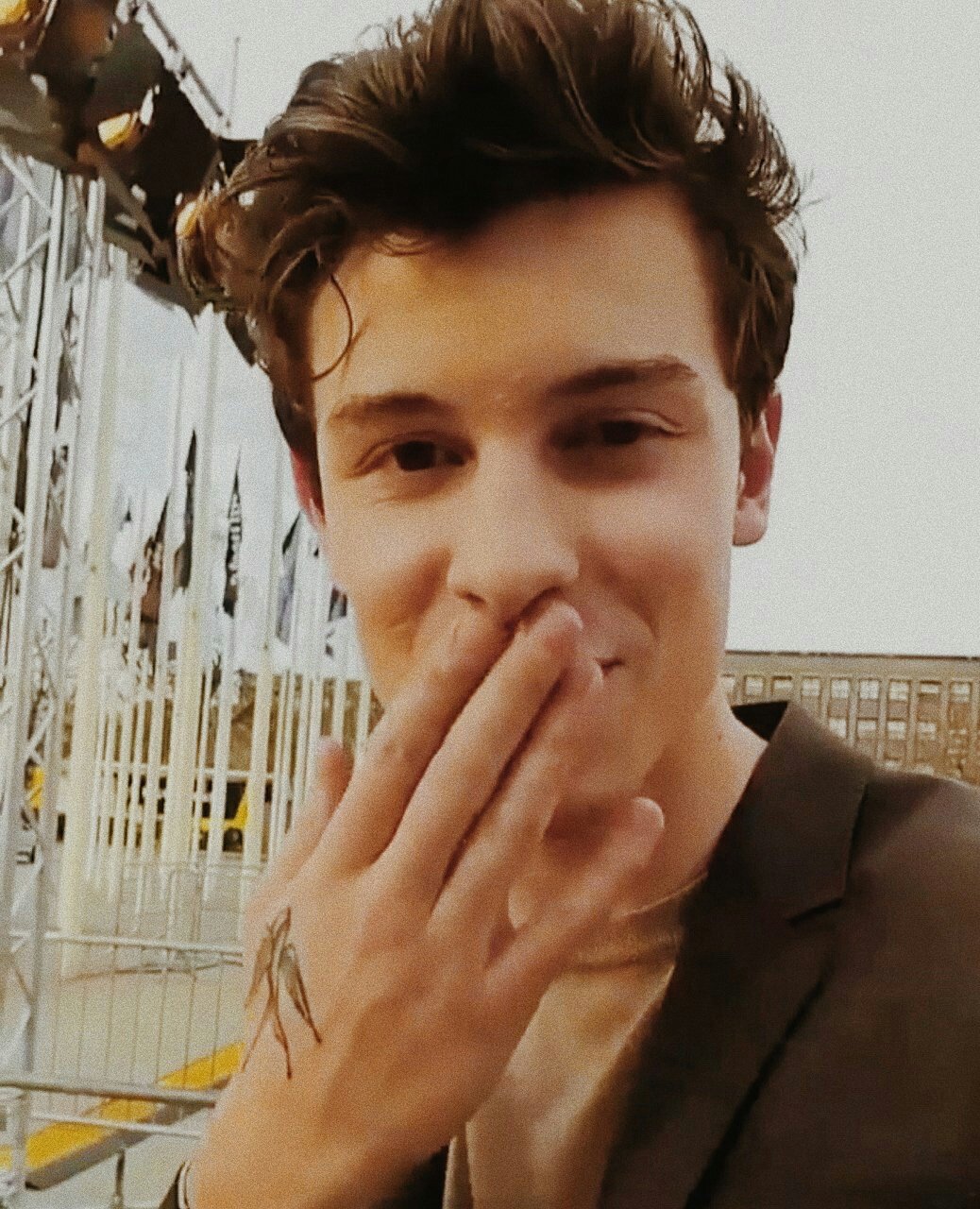 shawn mendes
